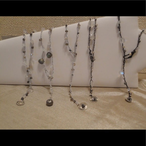 Meet your Posher, Dorothy - Picture 2 of 2